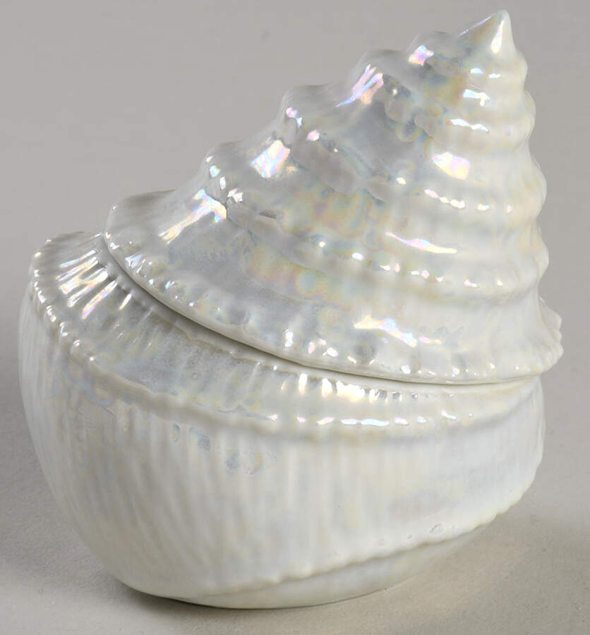 Treasures of The Sea Silvery Trochus - Boxed by Lenox-1
