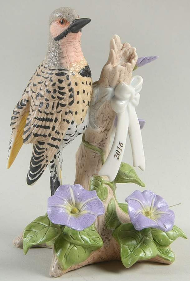 Annual Garden Birds 2016-Northern Flicker - No Box by Lenox-1
