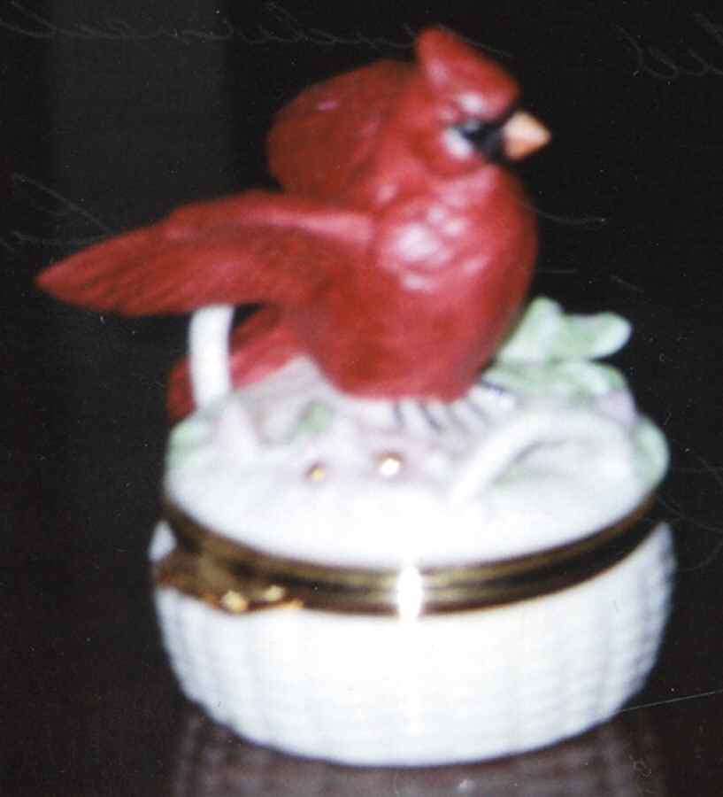 Treasure Boxes Cardinal - Boxed by Lenox-1