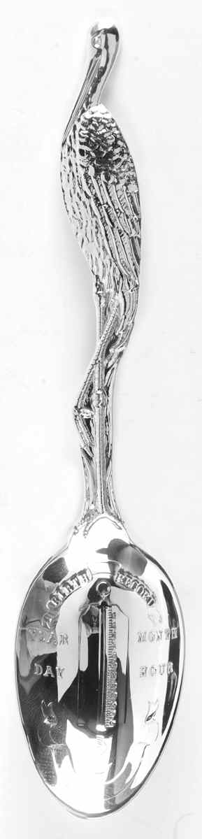 Birth Record Spoon-Sterling Birth Record Spoon - No Box by Lunt Silver-1