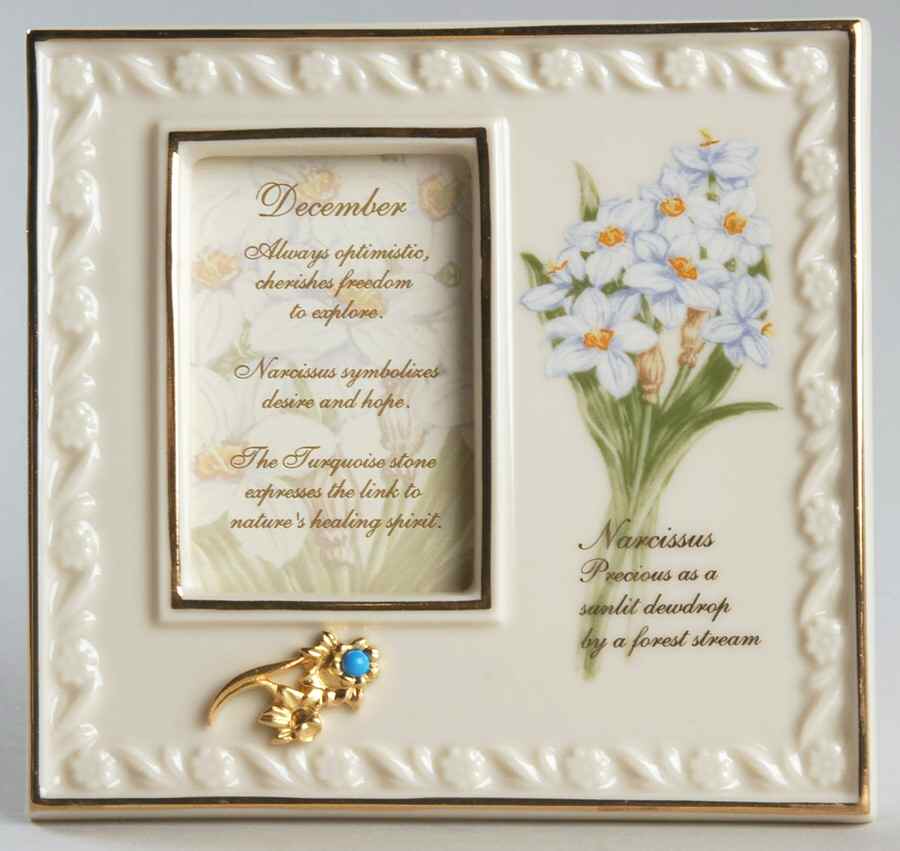 China Treasures Birthstone Frames December - Boxed by Lenox-1