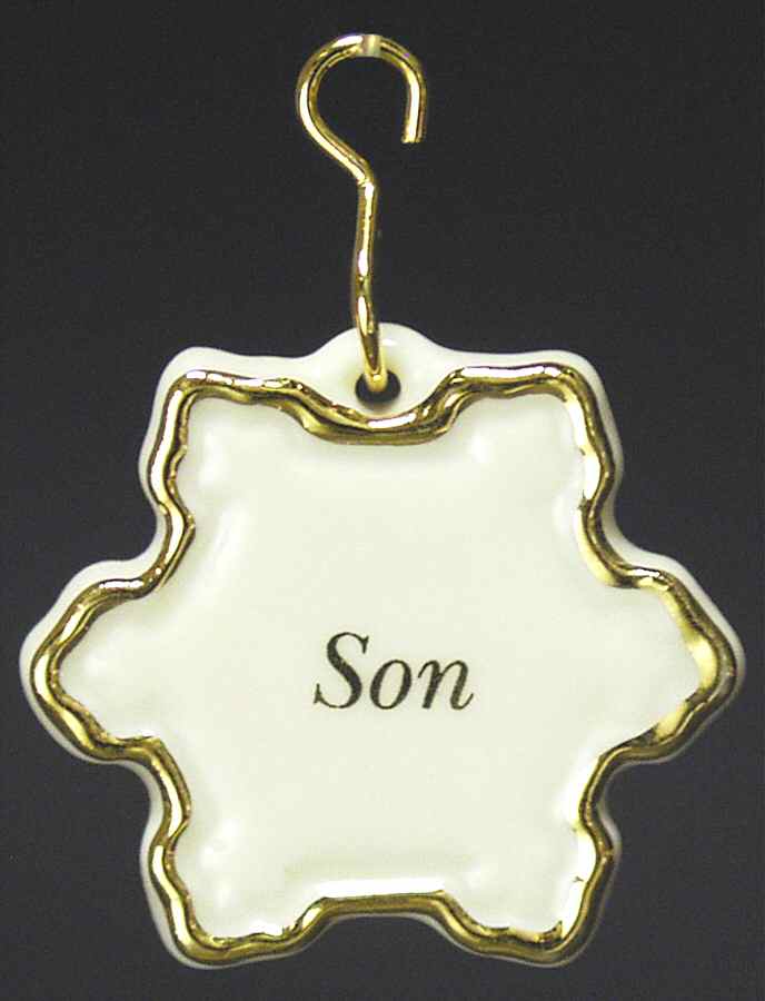 Tree Charmer Ornaments Son Charm-Snowflake - No Box by Lenox-1