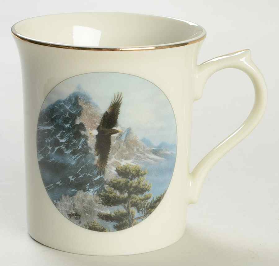 Eagle Conservation Solo Flight - No Box by Lenox-1