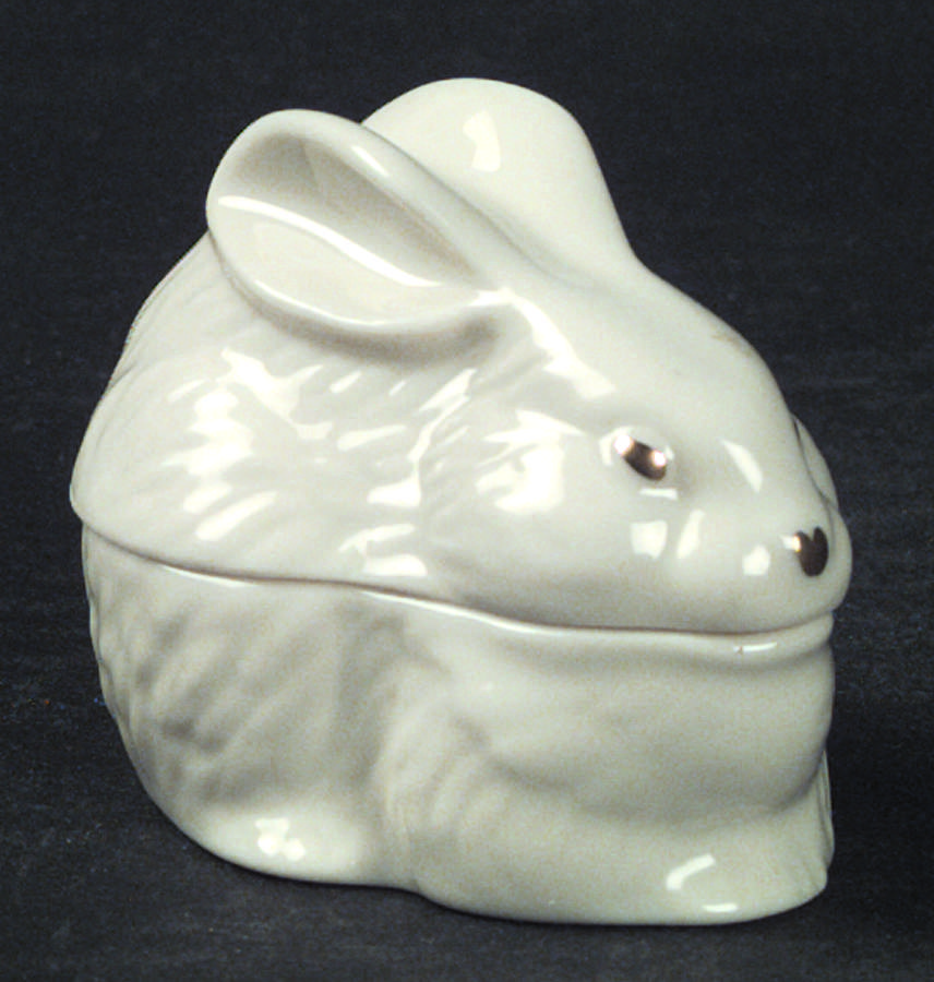 Lenox Boxes Bunny Box - Boxed by Lenox-1