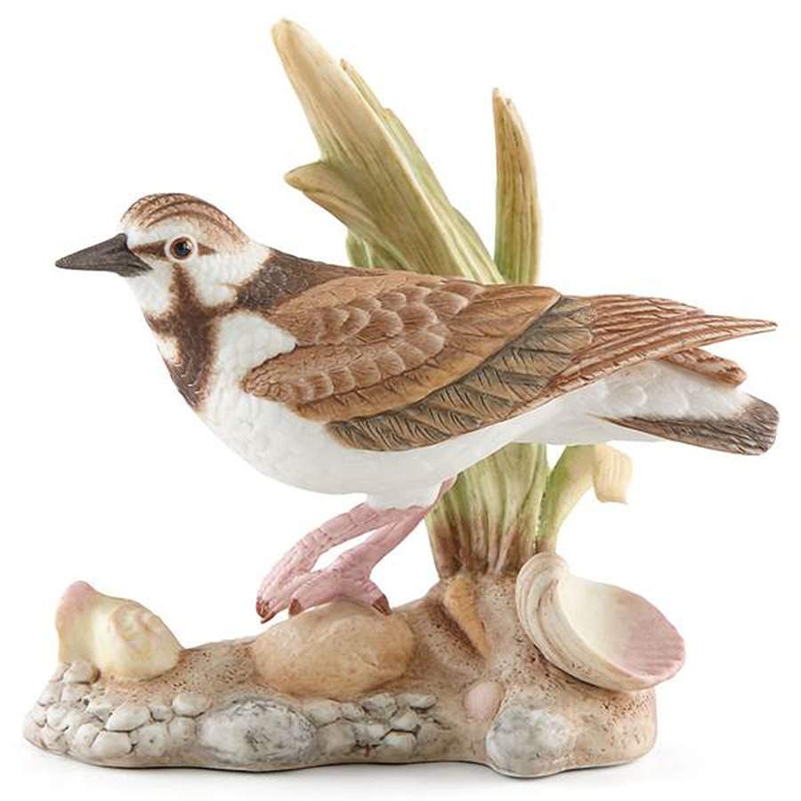 Sea Birds Ruddy Turnstone - Boxed by Lenox-1