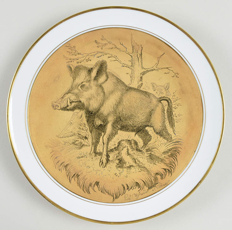 Wildlife Boar - Boxed by Lindner-1