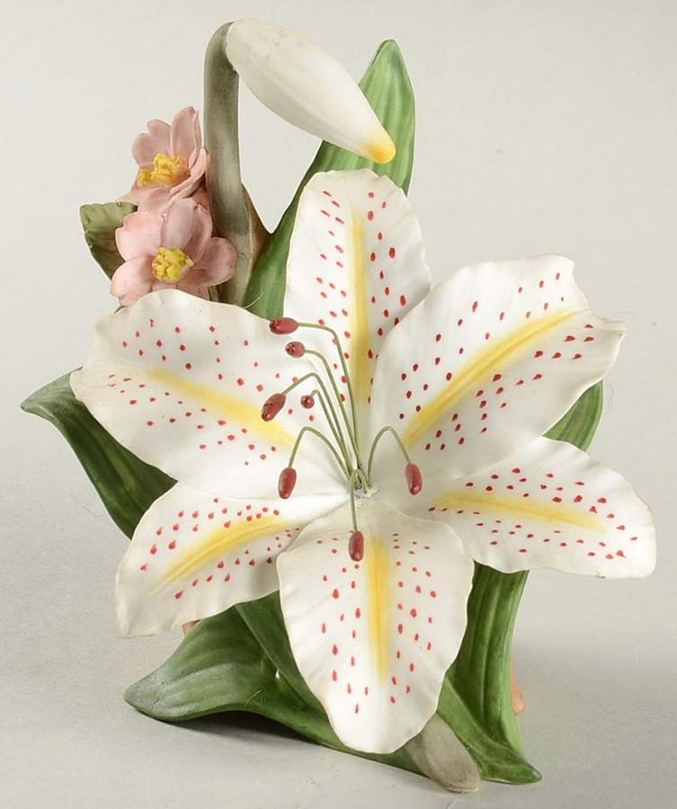 Legendary Flowers of Orient Gold Band Lily - No Box by Maruri-1