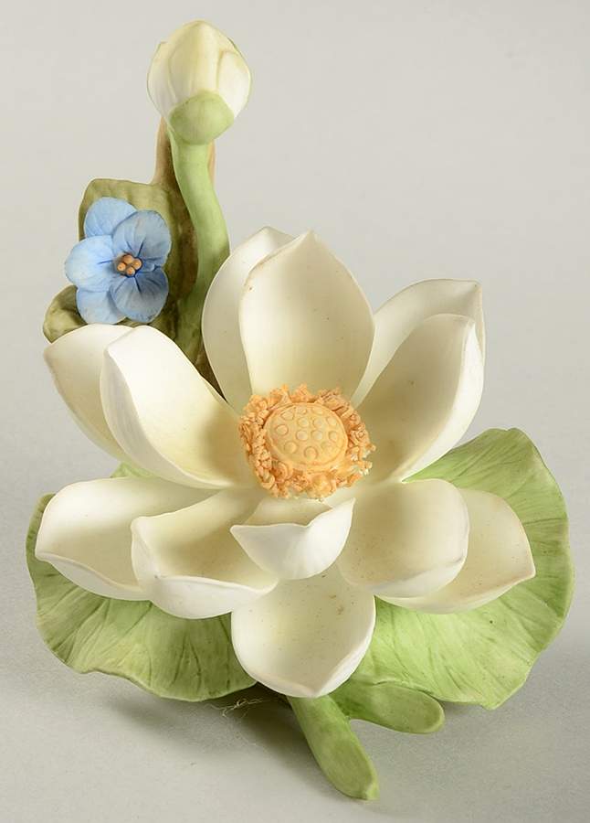 Legendary Flowers of Orient Lotus - No Box by Maruri-1