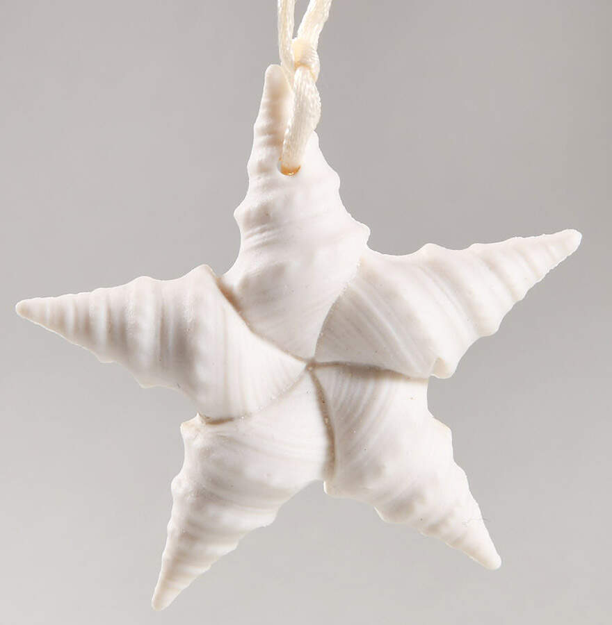 Margaret Furlong Ornaments Catch A Falling Star - No Box by Margaret Furlong-1