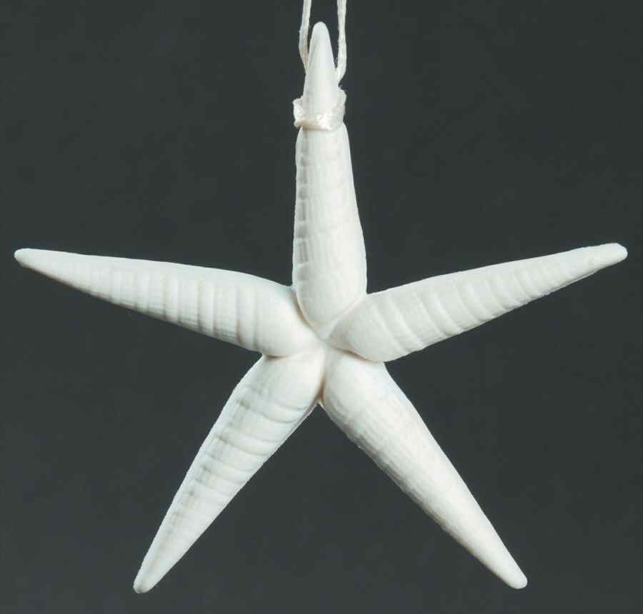 Margaret Furlong Ornaments A Star In The Night - Boxed by Margaret Furlong-1