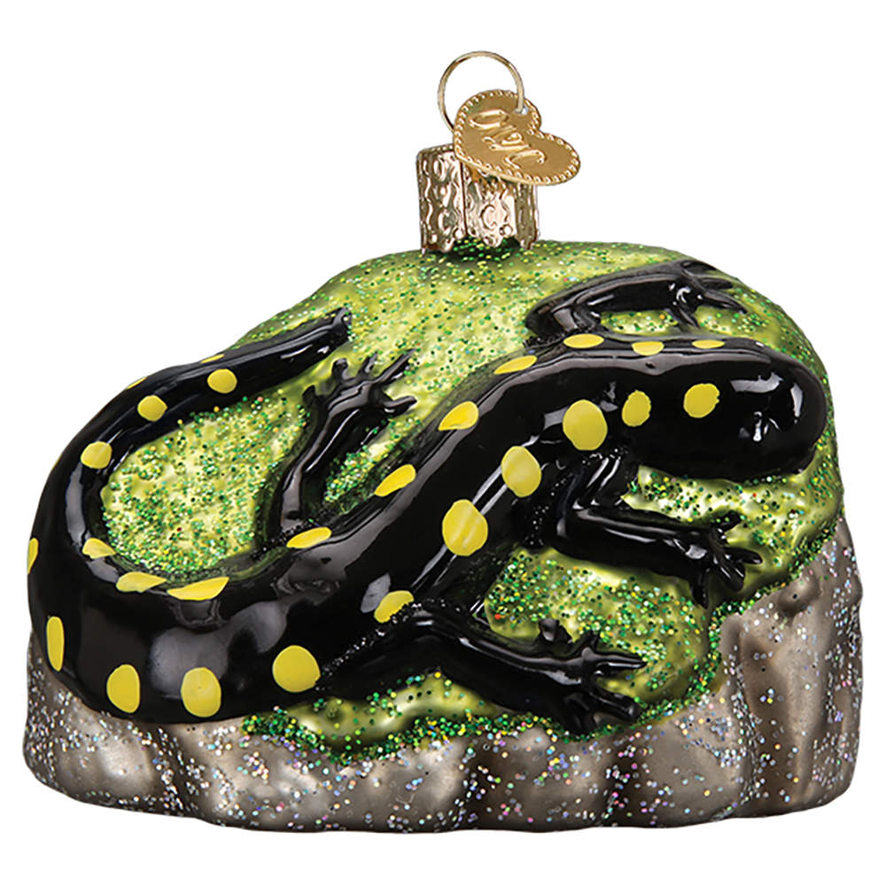 Old World Christmas Salamander - No Box Nb3036 by Old World Christmas (Newer)-1