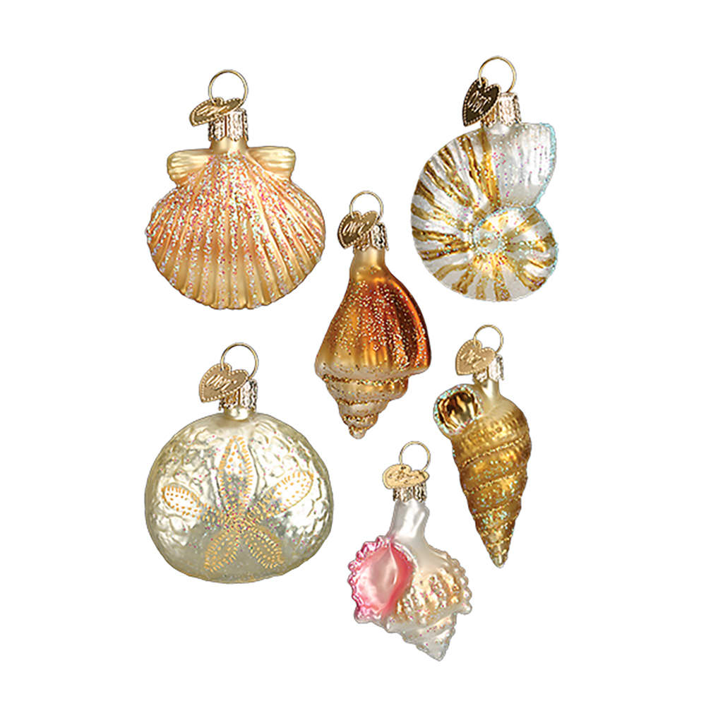 Old World Christmas Assorted Sea Shell Set - No Box Nb1931 by Old World Christmas (Newer)-1