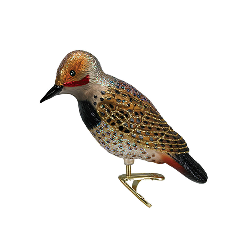 Old World Christmas Northern Flicker - Bird - No Box Nb1219 by Old World Christmas (Newer)-1