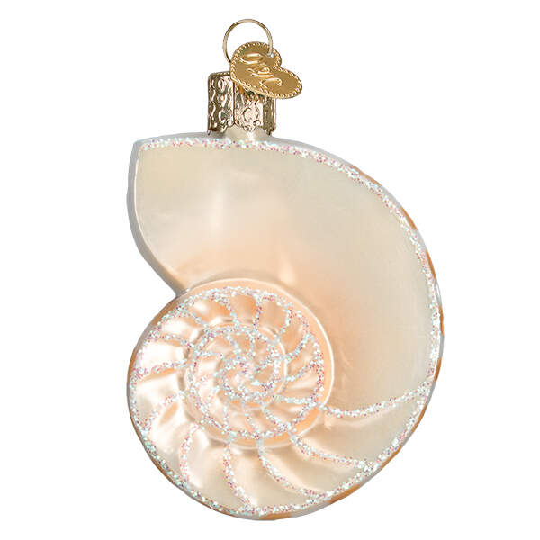 Old World Christmas Nautilus Shell - No Box by Old World Christmas (Newer)-1