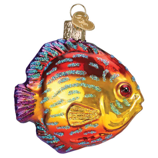 Fish and Marine Life Discus Fish - Nb675, No Box by Old World Christmas (Newer)-1