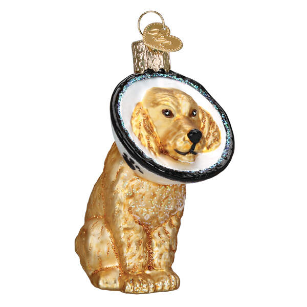 Old World Christmas Cone Of Shame Dog - No Box Nb3463 by Old World Christmas (Newer)-1