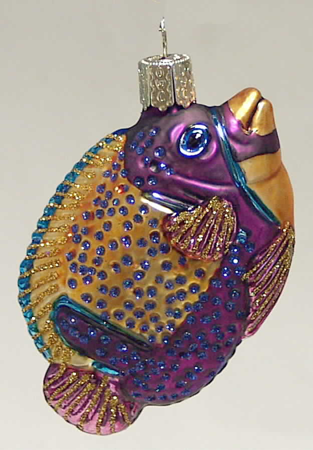 Fish and Marine Life Tropical Fish - No Box by Old World Christmas (Newer)-1