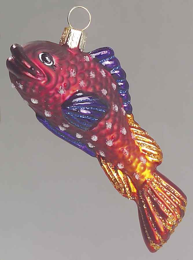 Fish and Marine Life Caribbean Royal Gamma - No Box by Old World Christmas (Newer)-1
