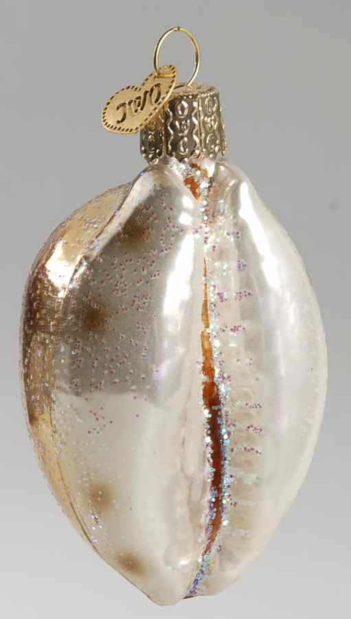 Fish and Marine Life Cowrie Shell - No Box by Old World Christmas (Newer)-1
