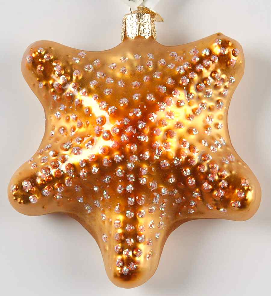 Fish and Marine Life Starfish - Orange Front - No Box by Old World Christmas (Newer)-1