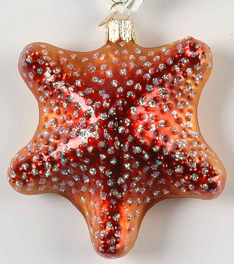 Old World Christmas Starfish Red Front - No Box Nb1846 by Old World Christmas (Newer)-1