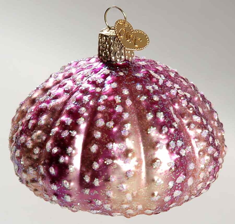 Old World Christmas Sea Urchin- Purple - No Box Nb1896 by Old World Christmas (Newer)-1