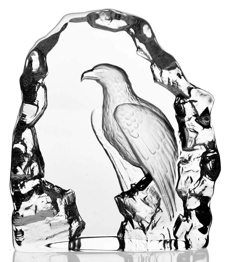 Birds Eagle - Boxed by Mats Jonasson-1