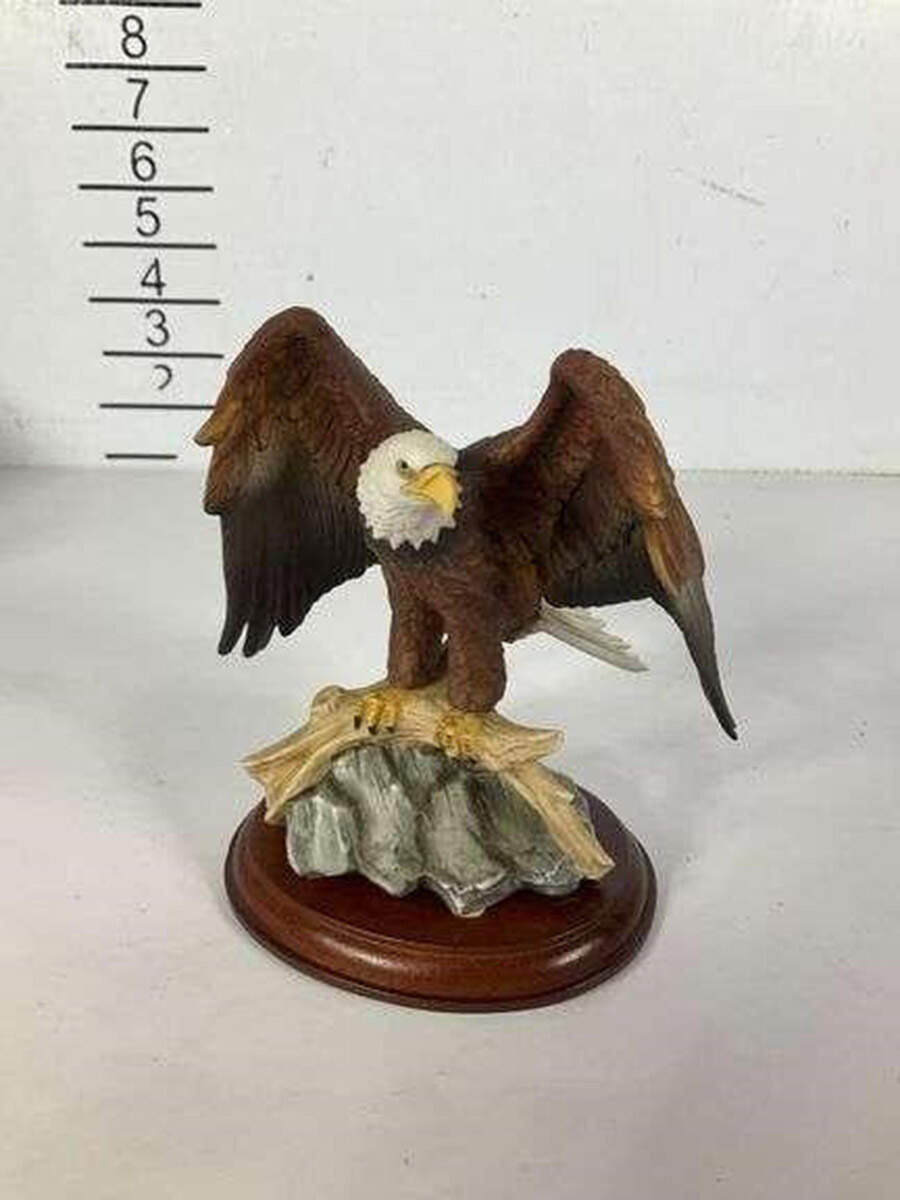 American Eagle Gallery Eagle - With Box by Maruri-1