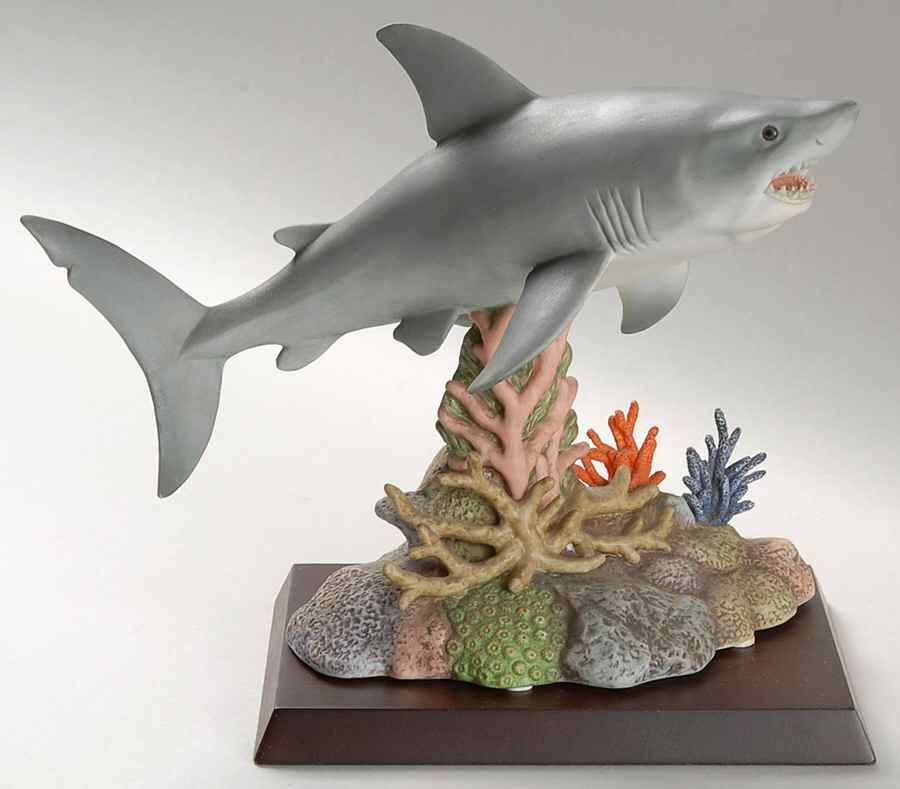 Wonders of the Sea Great White Shark - Boxed by Maruri-1