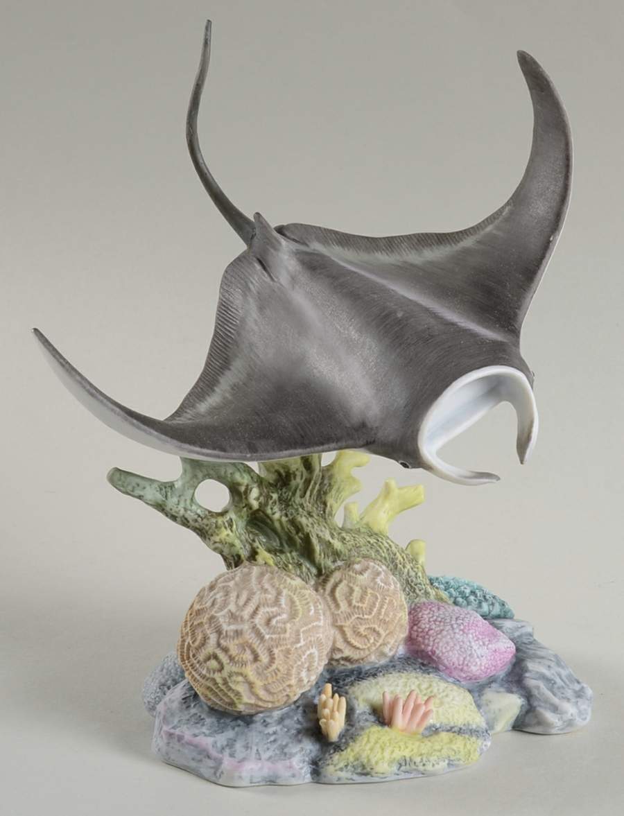Wonders of the Sea Manta Ray - Boxed by Maruri-1