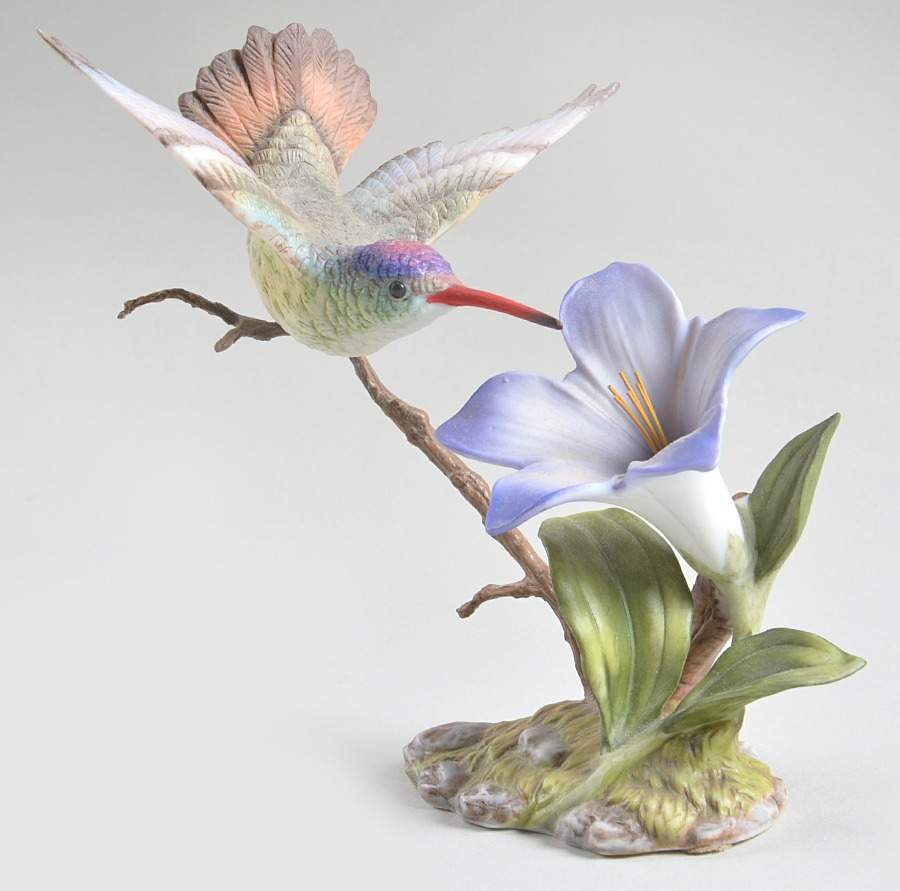 Hummingbirds Violet-Crowned W/ Gentian - Boxed by Maruri-1