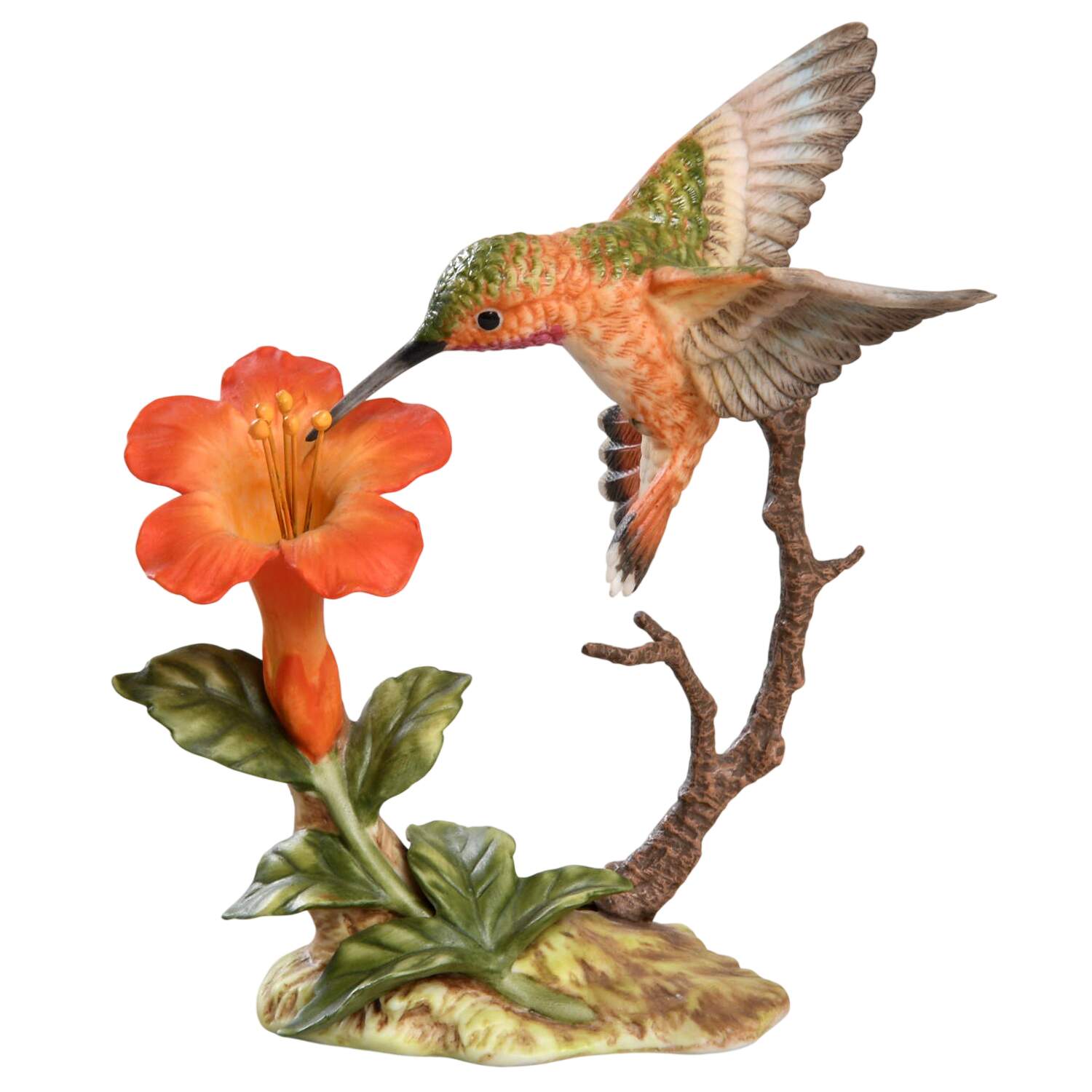 Hummingbirds Rufous W/ Trumpet Creeper - No Box by Maruri-1