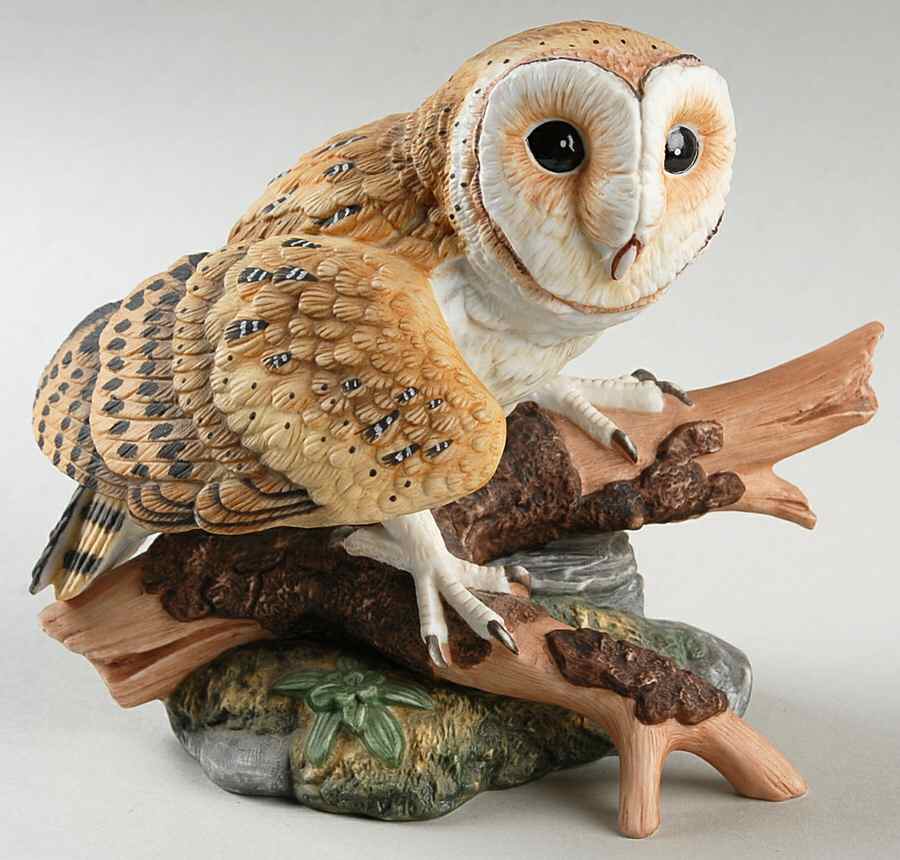Majestic Owls of the Night Barn Owl - No Box by Maruri-1