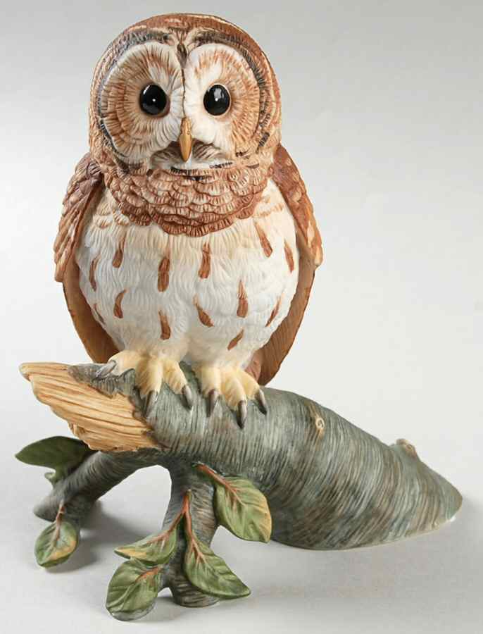 Majestic Owls of the Night Barred Owl - Boxed by Maruri-1
