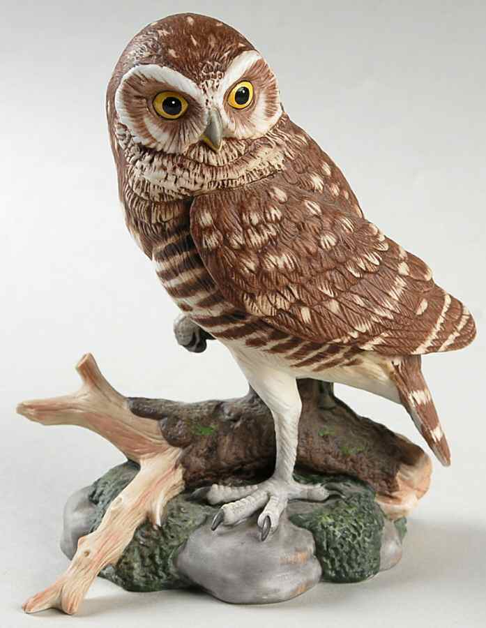 Majestic Owls of the Night Burrowing Owl - Boxed by Maruri-1