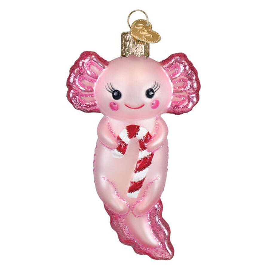 Fish and Marine Life Axolotl With Candy Cane - Nb717, No Box by Old World Christmas (Newer)-1
