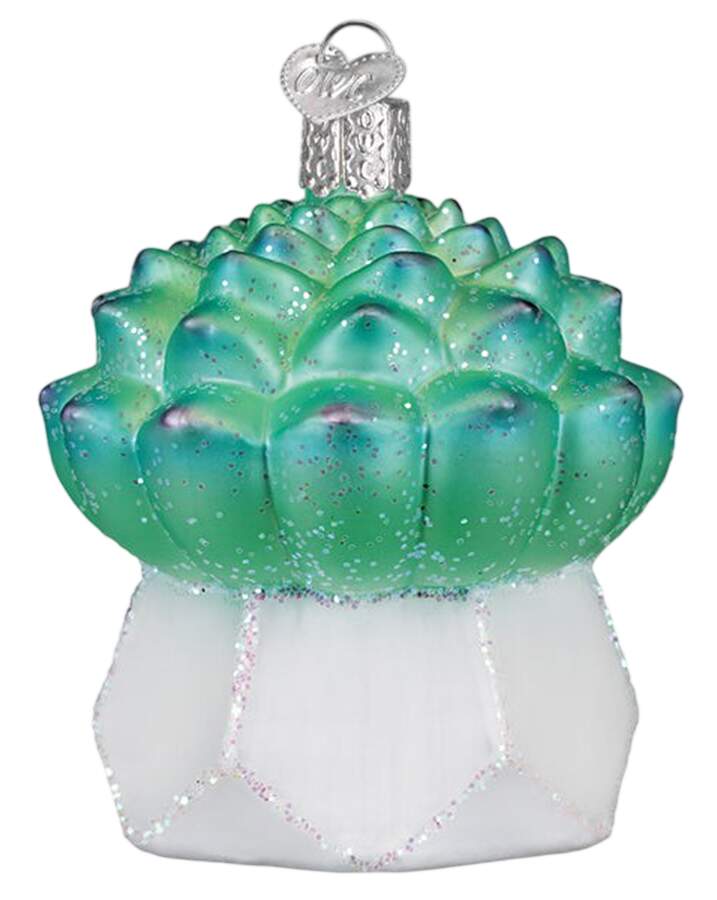 Flowers & Plants Echeveria Succulent - No Box by Old World Christmas (Newer)-1