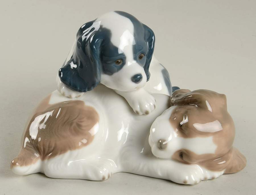 Cats and Dogs Wake Up - No Box by Nao-1