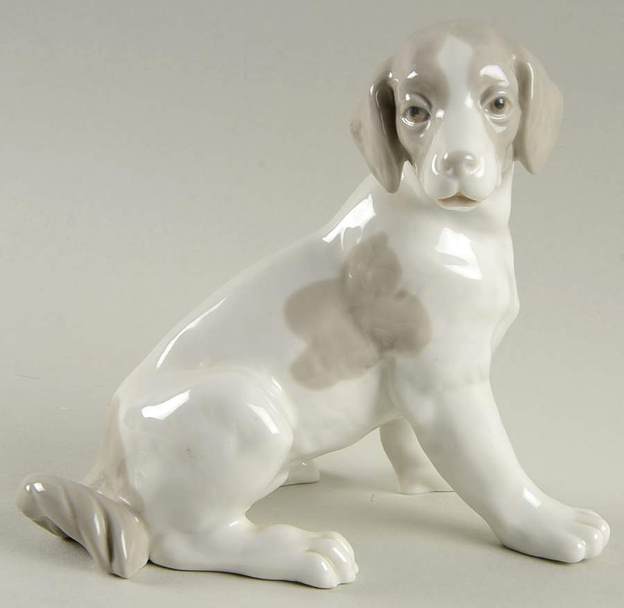 Cats and Dogs Dog - Boxed by Nao-1