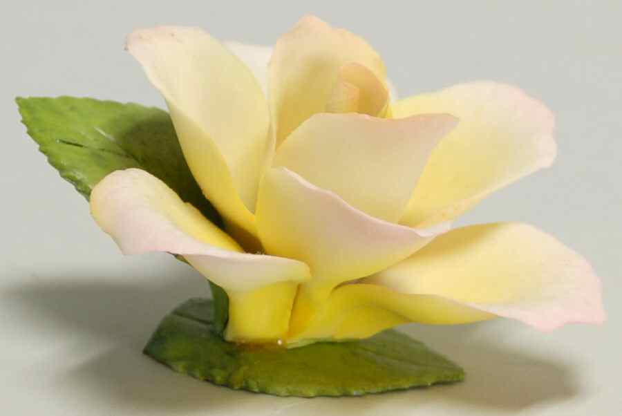 Capodimonte Flowers Single Rose-Rainbow - No Box by Napoleon-1