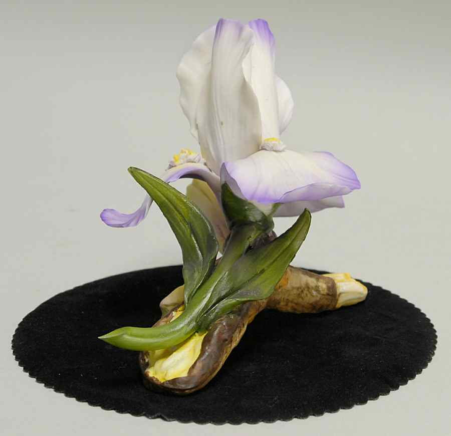 Capodimonte Flowers Iris On Branch - No Box by Napoleon-1