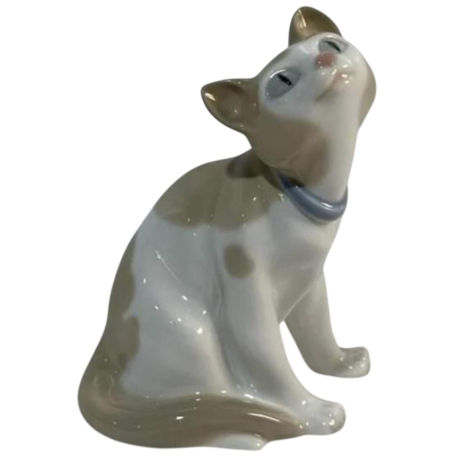 Cats and Dogs Cat-Head Up - Boxed by Nao-1