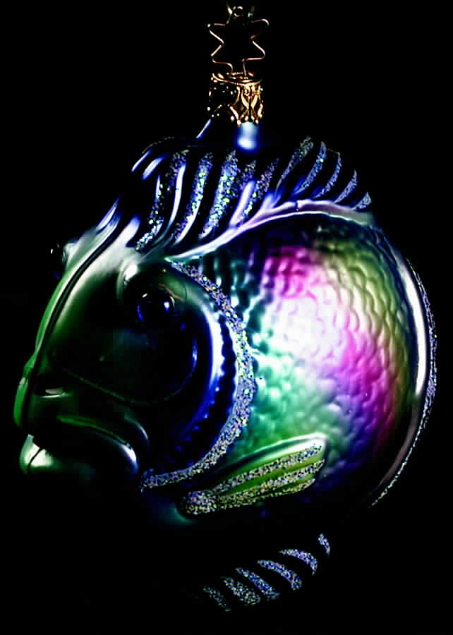 Animals Tropical Fish Assorted - No Box by Inge Glas-1