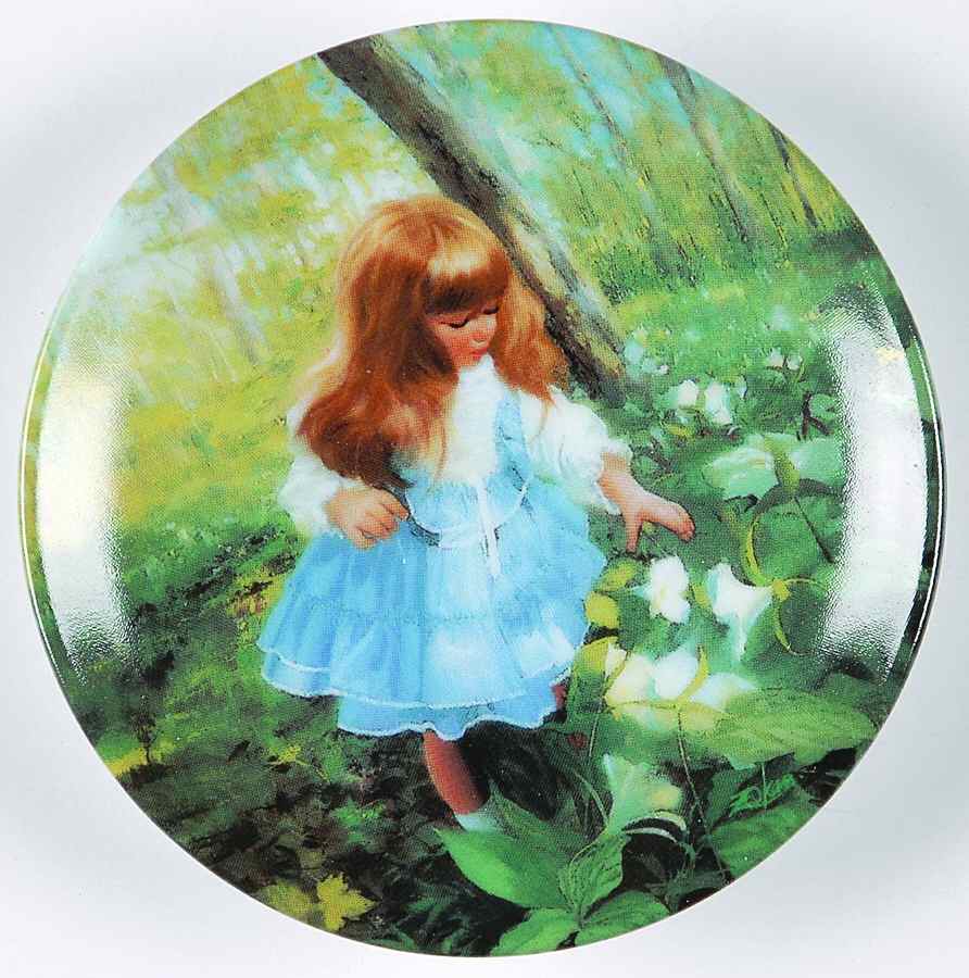 Childhood Discoveries Enchanted Forest - Boxed by Pemberton & Oakes-1