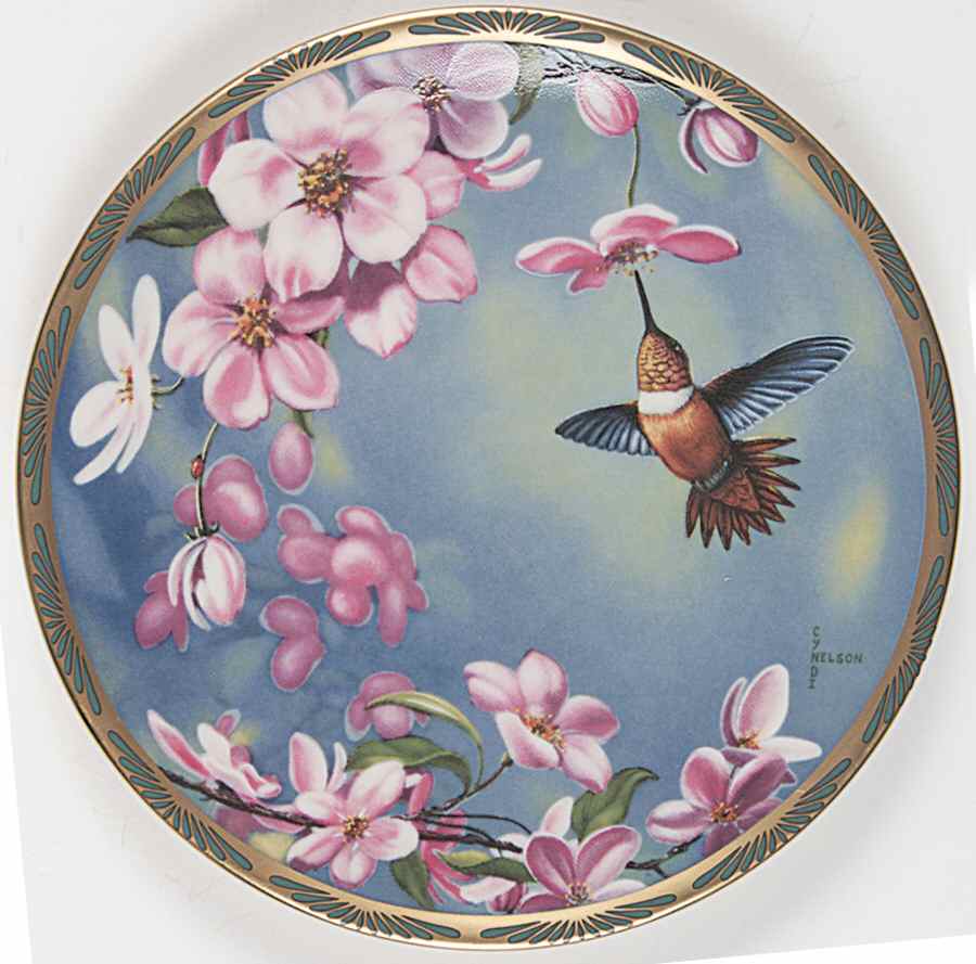 Gems of Nature: The Beautiful Hummingbirds Rufous And Apple Blossoms - Boxed by Pickard-1