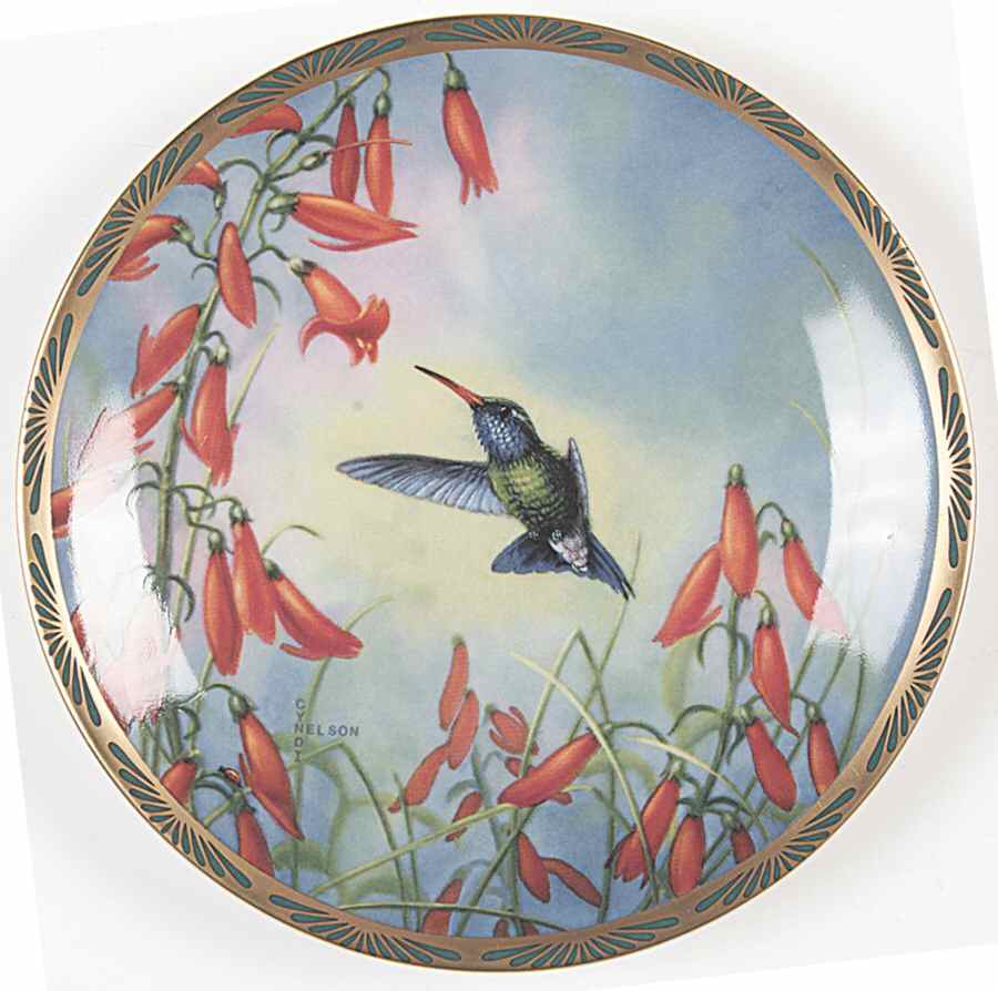 Gems of Nature: The Beautiful Hummingbirds Broad-Billed With Penstemon - Boxed by Pickard-1