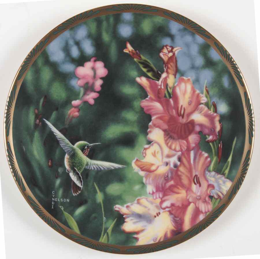Gems of Nature: The Beautiful Hummingbirds Calliope With Gladioli - Boxed by Pickard-1