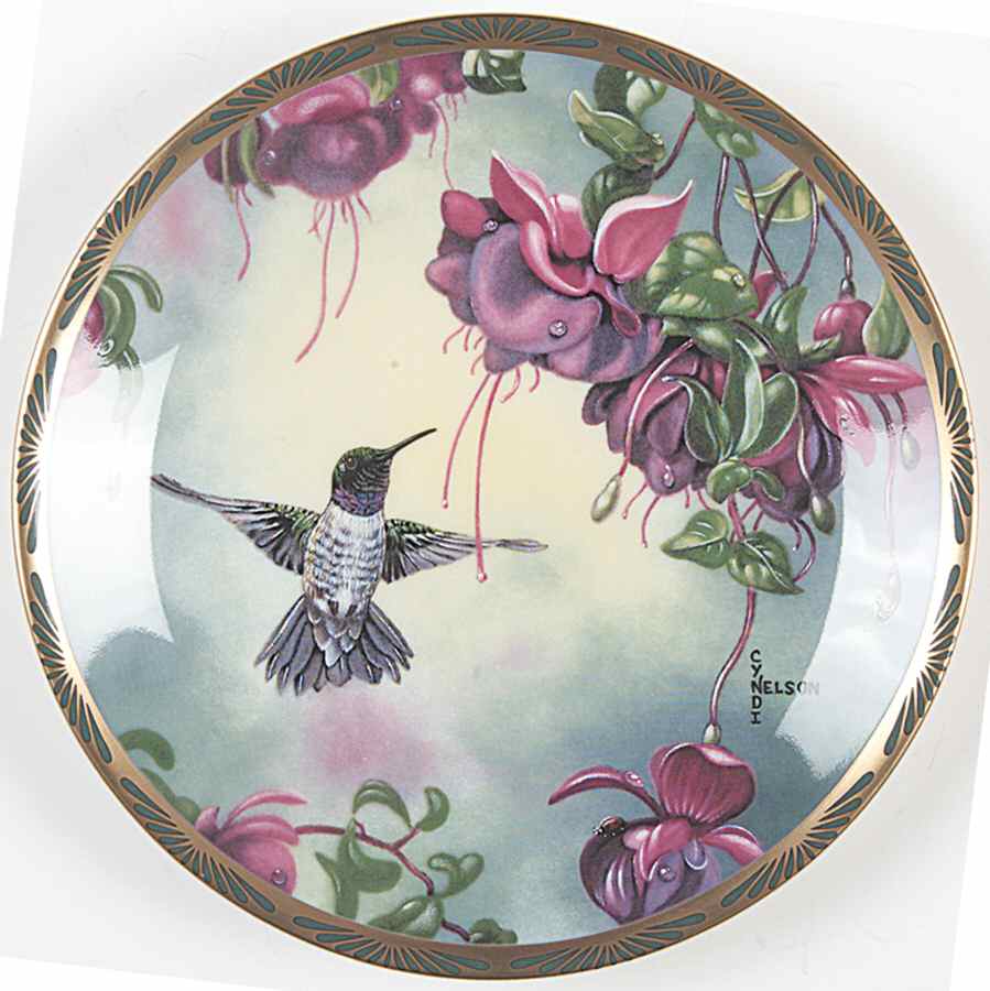 Gems of Nature: The Beautiful Hummingbirds Black-Chinned With Fuchsia - Boxed by Pickard-1