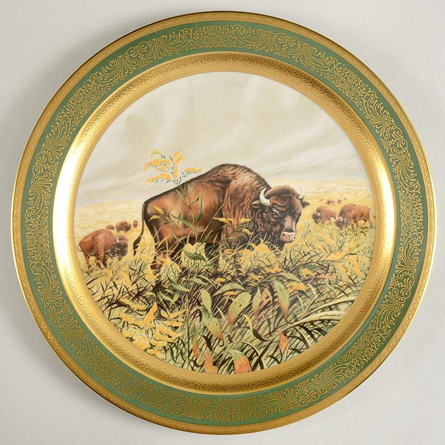 Lockhart Wildlife American Buffalo - Boxed by Pickard-1