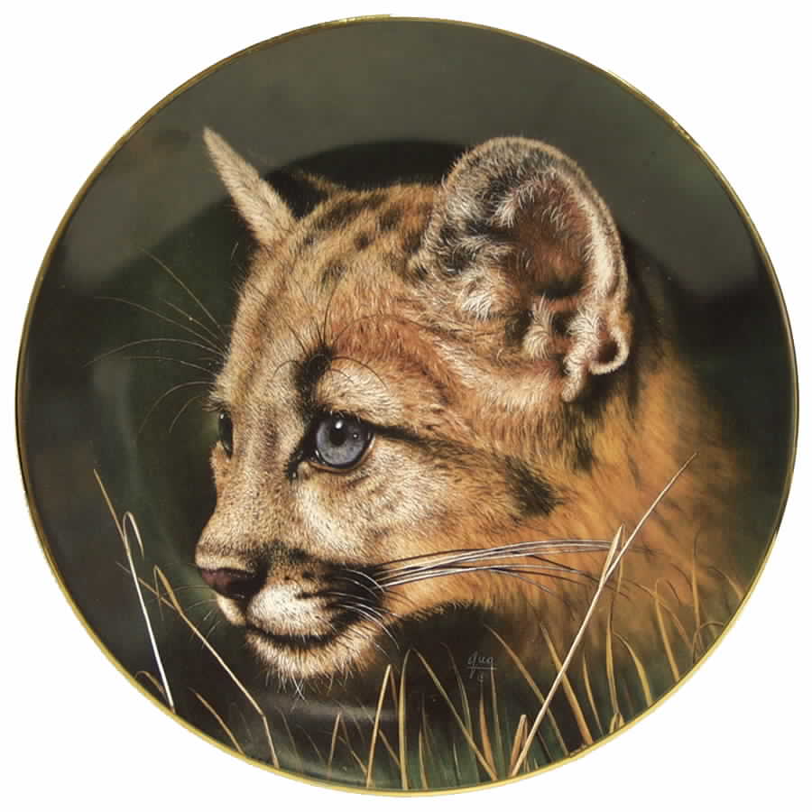 Cubs of the Big Cats Cougar Cub - No Box by Princeton Gallery-1
